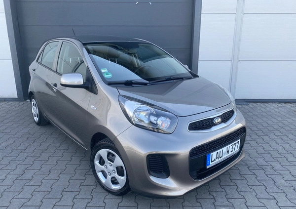 Kia Picanto cena 27950 przebieg: 130800, rok produkcji 2016 z Nowogrodziec małe 667